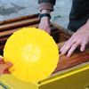 BESPORTBLE Practical Beehive Escape Tray for Beekeeping 2 Pack Beehive Tool 16 Channels for Efficient Bee Transfer