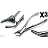 3 Pcs Forcep 150 Extracting Root Upper Teeth Dental Surgical Premium Instruments