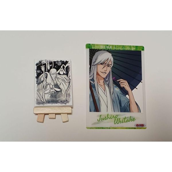 Bleach Uchitake Toshiro Clica Canvas Board Set Hobby Goods