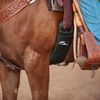 Classic Equine Aura Cinch, Roper, 32"