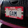 GRAPHICS & MORE Chicago Blackhawks Logo Stripe License Plate Tag Frame