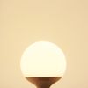 18w Round LED Globe Bulb E27 Edison Screw Base Warm White Equivalent to 162w