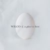 Wilco - A Ghost Is Born [New Vinyl LP]