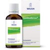 Combudoron Flüssigkeit, 50 ml FLU