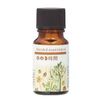 Blended Essential Oil Hinoki Time 0.3 fl oz (10 ml)