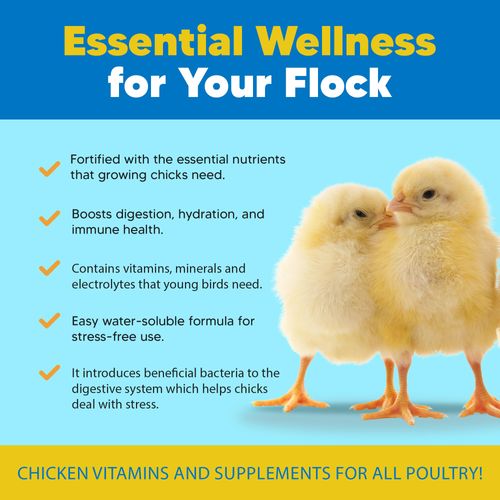 Equerry's Flock PRO Chick Boost Probiotic - Probiotics, Vitamins, Minerals and Electrolytes for Chickens | Chicken Vitamins and Supplements for All Poultry - 8oz