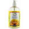Rainbow Research Gentle NonDrying Liquid Soap Unscented -- 16 fl oz - 2pc