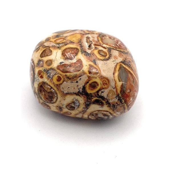 Rhyolite Medium Crystal Tumbled Stone - 1 Pc