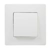 Legrand 396450 NL BL Monobloc Switch, White, Single