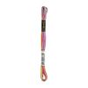 Anchor Embroidery Thread, Cotton, 01360 Multicolor