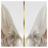 Hair Biology Silver & Glowing shampoo & conditioner