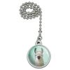 GRAPHICS & MORE Hip Llama with Glasses Ceiling Fan and Light Pull Chain