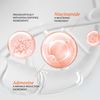 Skin Solution BRIGHTENING FACE CREAM (VITAMIN C)