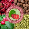 Aloelujah™ Baking Soda-Free Natural Deodorant CHERRY PITS (3.3oz/93g) Any 3 Items SHIP FREE
