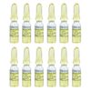 Rhode Island Novelty Stink Bombs | 3 Glass Vials Per Box | 12 Boxes Per Order