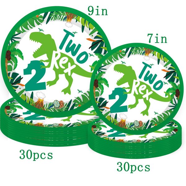 Dinosaur 2nd Birthday Decorations for Boy Plates 60pcs Dinosaur Birthday Party Paper Plates Dinosaur Birthday Party Supplies 2 Year Old Boy Two Rex Birthday Party Decorations for Boys Dino Bday