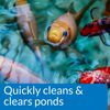 API POND SIMPLY CLEAR Pond Water Clarifier 16-Ounce Bottle (248B)