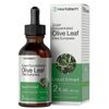Olive Leaf Extract Liquid | 2 fl oz | Alcohol Free, Vegetarian | by Horbaach