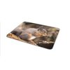 Squirrel Eating Nuts Cute Mouse Mat Pad - Woodlands Animal Computer #14267