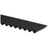 Gates T265 Premium Automotive Timing Belt