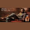 Beard Oil - Nano Absolute Professional Beard Oil 50ml