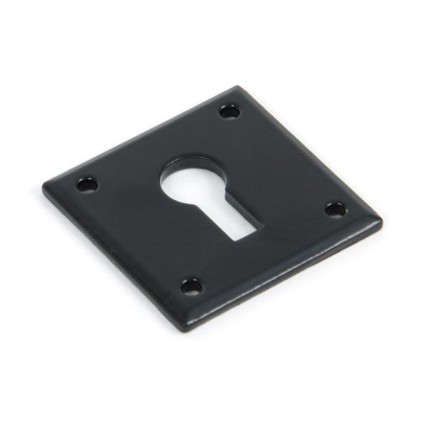 From The Anvil Black Avon Escutcheon