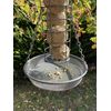 Oakdale Hanging Bird Feeder Tray