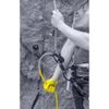 Salewa ERGO belay system - Insurance Device, Unisex, Black, One Size