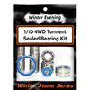 Winter Evening -ECX 1/10 4WD Torment Bearing Kit