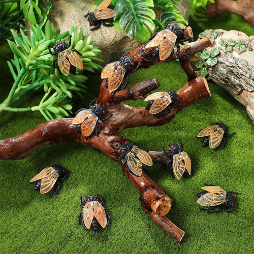PASOLABE Fake Cicada 20Pcs Simulation Cicada Figurine Display Props Artificial Plastic Insect Model Realistic Cicadas Photography Prop for Garden Decoration