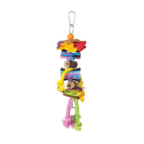 Prevue Hendryx 62507 Tropical Teasers Party Time Bird Toy