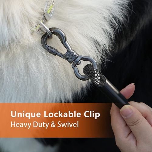 NTR Dog Long Leash, 15FT Puppy Obedience Recall Training Rope Lead with 2 Swivel Hooks, Reflective Threads and Soft Handle, Puppy Leash for Walking, Hunting, Camping for Small Medium and Large Dogs
