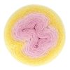 Scheepjes Whirl 1x1000m - 796 Meringue Serenade