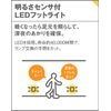 Panasonic LED Footlight Bulb Color, whites