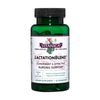 Vitanica, LactationBlend