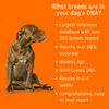 Dna My Dog Premium Test – Premium Breed ID Over 350 Breeds Plus Genetic Age Test, Wolf/Coyote DNA and Mixed Breed Identification, Non-Invasive Cheek Swab for Puppies to Adult Dogs