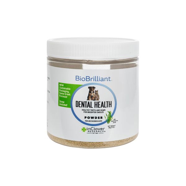 Dental Health Powder for Dogs and Cats, Natural Pet Supplement by InClover, BioBrilliant Dog and Cat Teeth Treat, Helps Dental Health, Daily Supplement for Pets, Natural Whey Goat Milk, Sweeten Breath