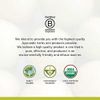 Banyan Botanicals Haritaki Powder - Certified Organic, 1/2 Pound – Terminalia chebula – for Detoxification & Rejuvenation* – Organic, Vegan, Non-GMO, Gluten Free, Certified Fair for Life Fair Trade