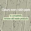 Pyunkang Yul Calming Pore Clear Wash Off Mask 100 ml
