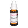 Spartium scoparium D12 DHU Dilution, 20 ml Lösung