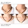 Colantotte Necklace ALT
