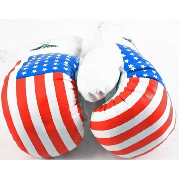 Shelter 1 Pair USA 14oz Boxing Gloves New Punching Gloves