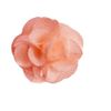 Ageha Collection neirukosutyu-mu Peach Rose