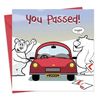 Twizler Passed Driving Test Card Funny Bugger Bear - Funny You Passed Card