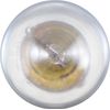PartCatalog Clock Light Compatible With Austin Mini Moke 1966 1965 1964 P-3066339