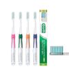 sansuta- Gum dentaruburasi C 12 Pieces