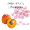 Ichikami Dense W Moisturizing Care Shampoo Refill, 11.8 fl oz (340 ml)