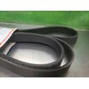 DAYCO POLY COG SERPENTINE BELT 5061115 *PZB*