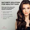 Marrakesh Oil Hydrate Daily Conditioner, Original 355 ml