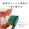Ebisu The Premium Care Periodontal Pocket Plus, Soft, 2 Pack